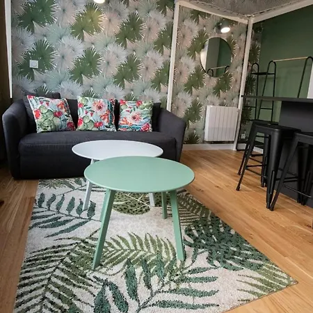 Le Canopee - Beau Atypique Quais Du Rhone Apartment Lyon